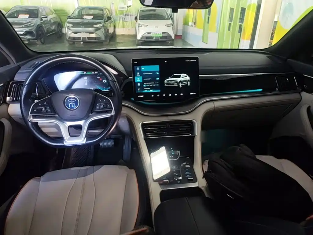 BYD PLUS New Energy — фото 10