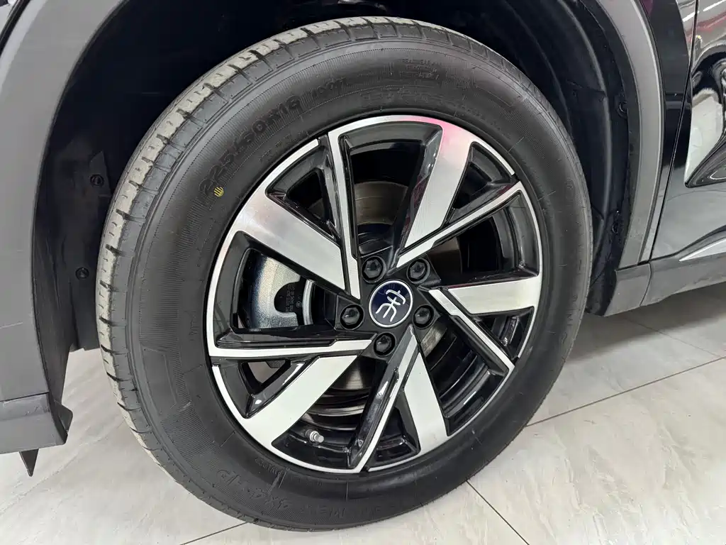 BYD Pro New Energy — фото 11