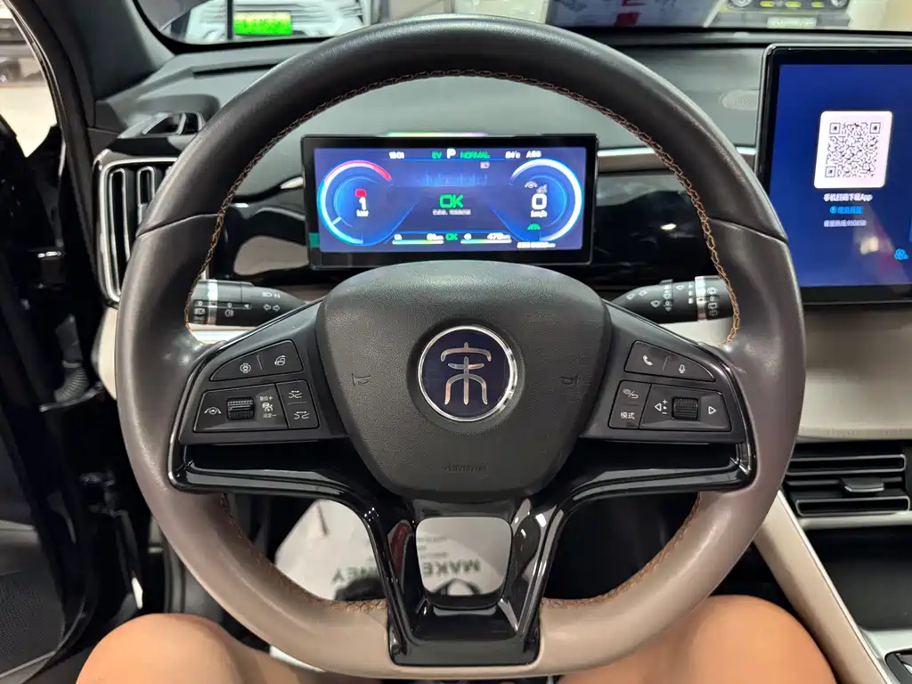 BYD Pro New Energy — фото 15
