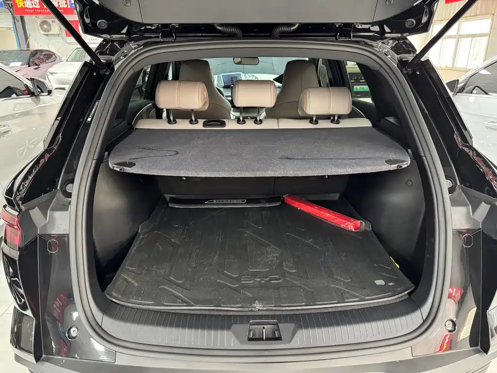 BYD Pro New Energy — фото 17