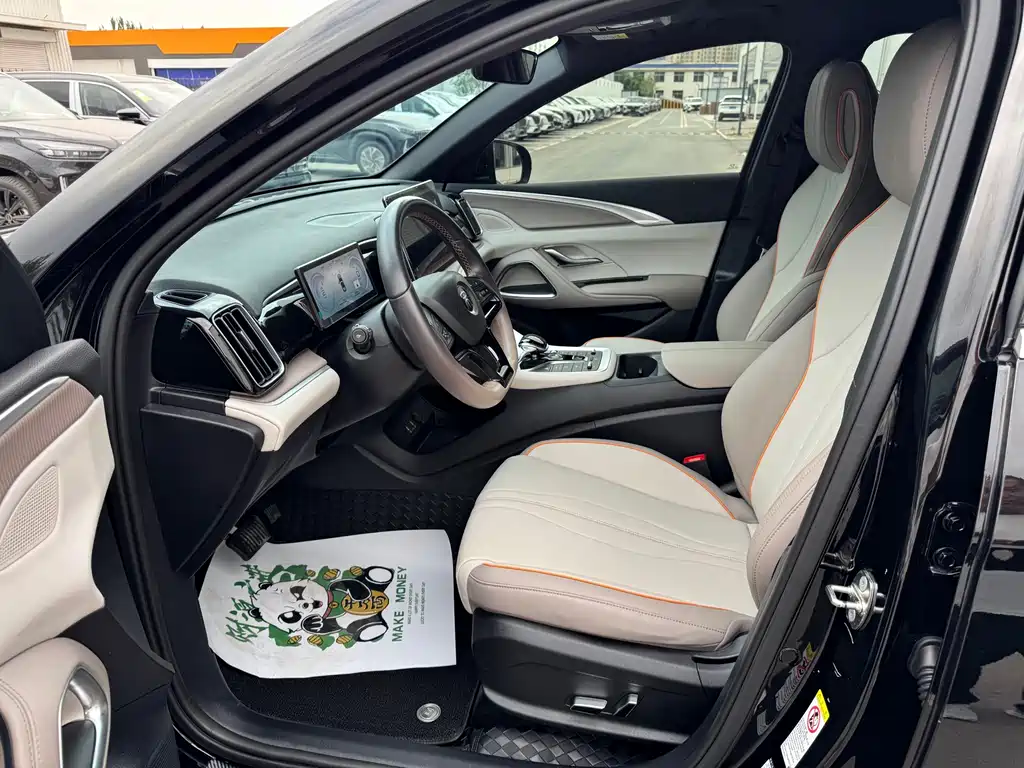 BYD Pro New Energy — фото 4