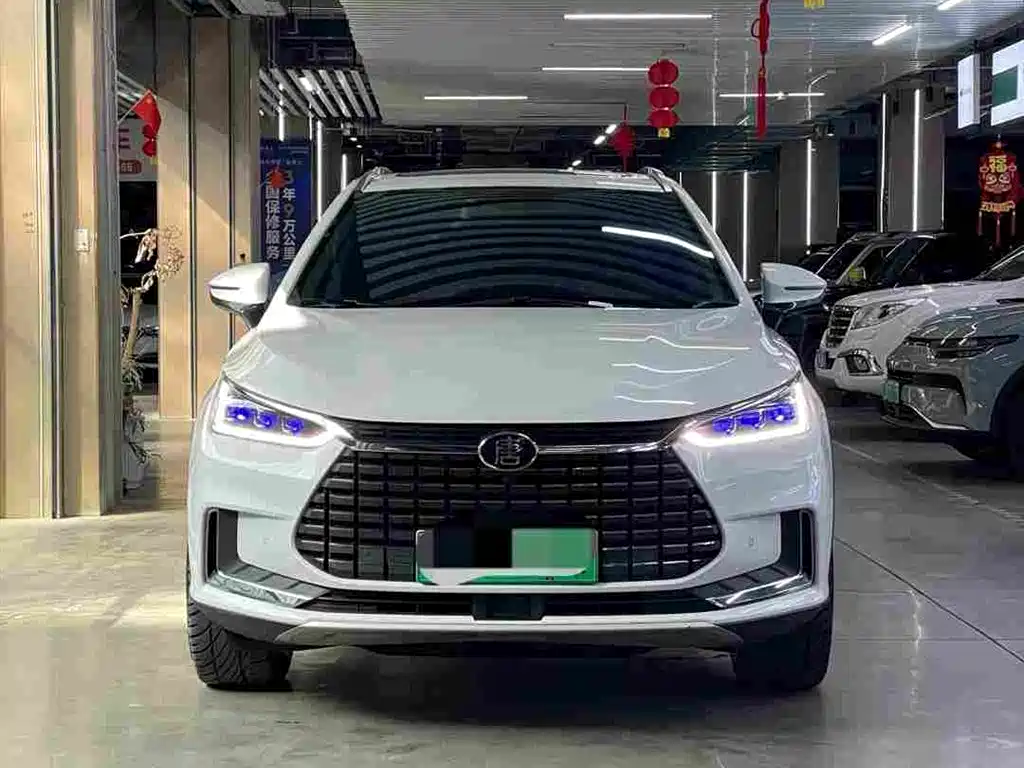BYD Tang New Energy — фото 2