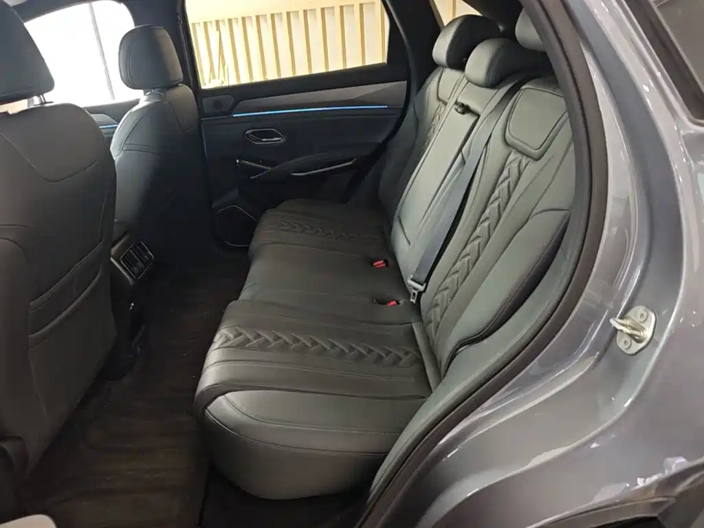 BYD L DM-i — фото 17