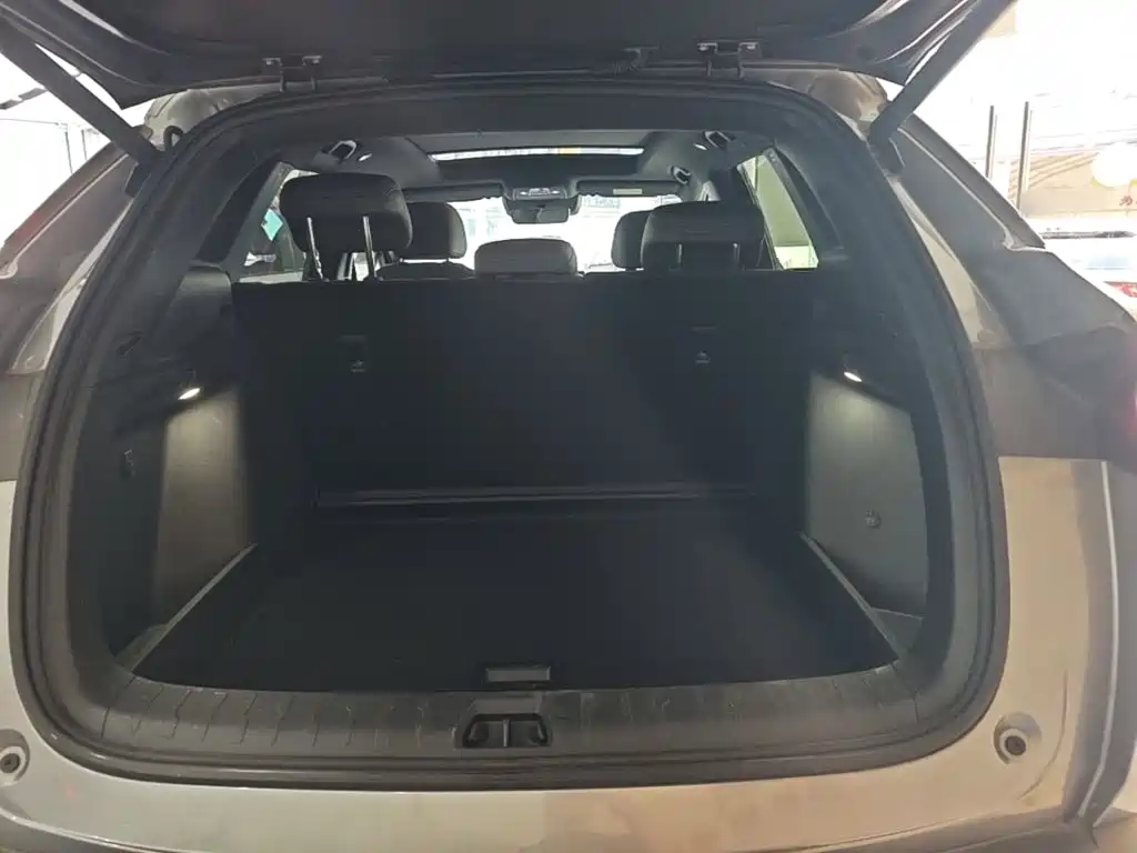 BYD L DM-i — фото 19