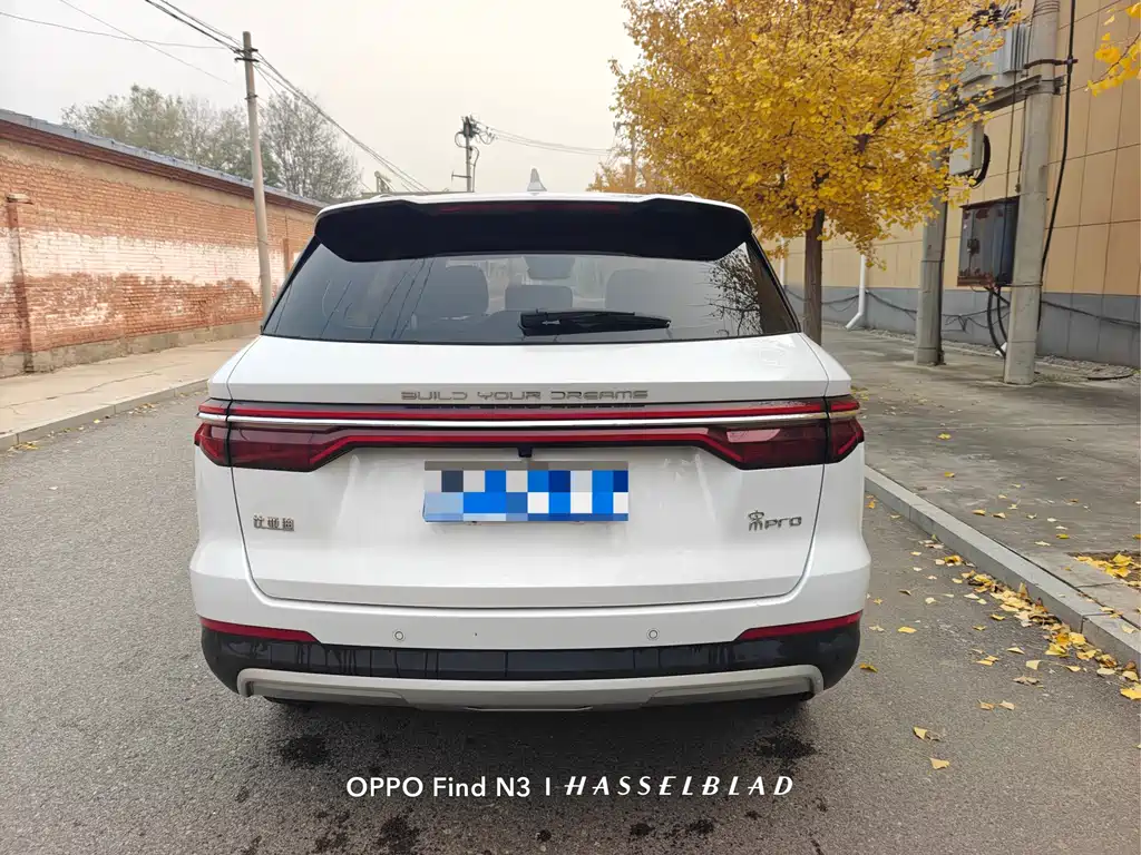 BYD Pro — фото 5