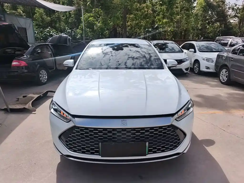 BYD Qin PLUS — фото 3