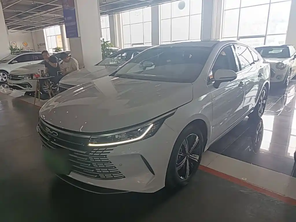 BYD Destroyer 05 — фото 2