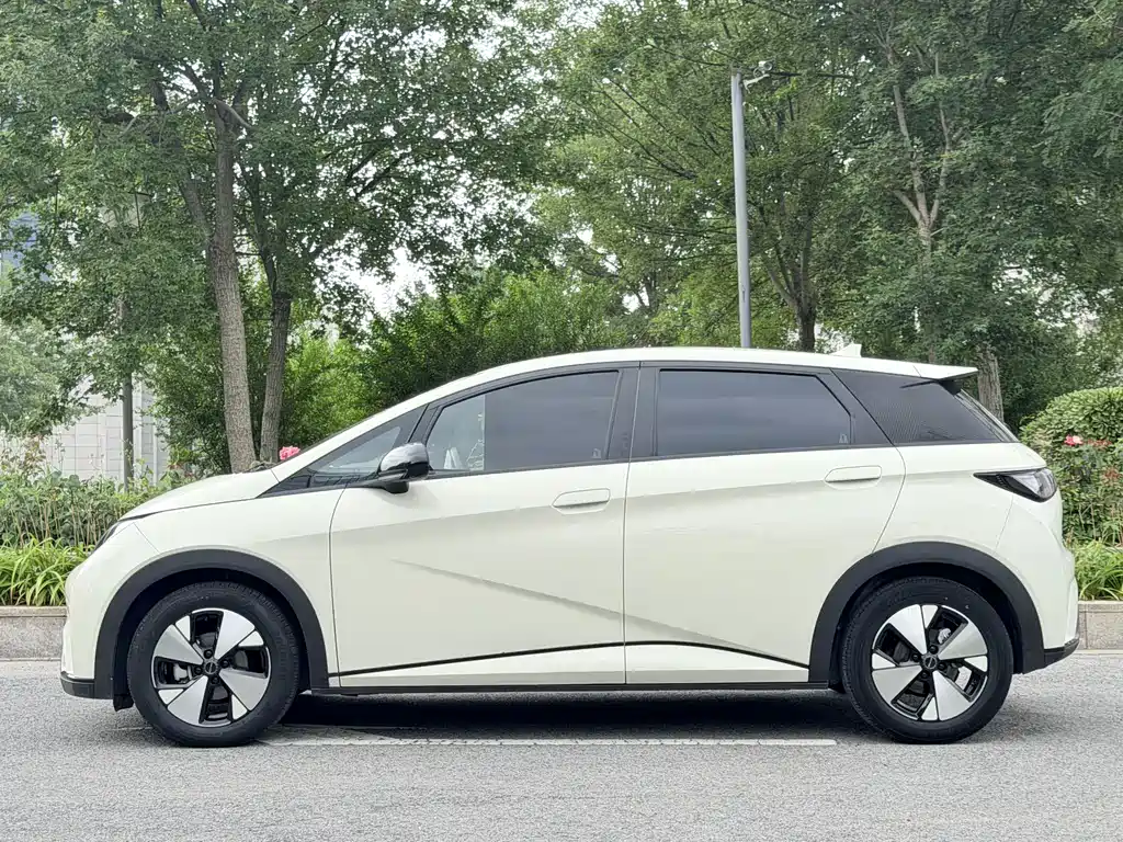 BYD Dolphin — фото 4