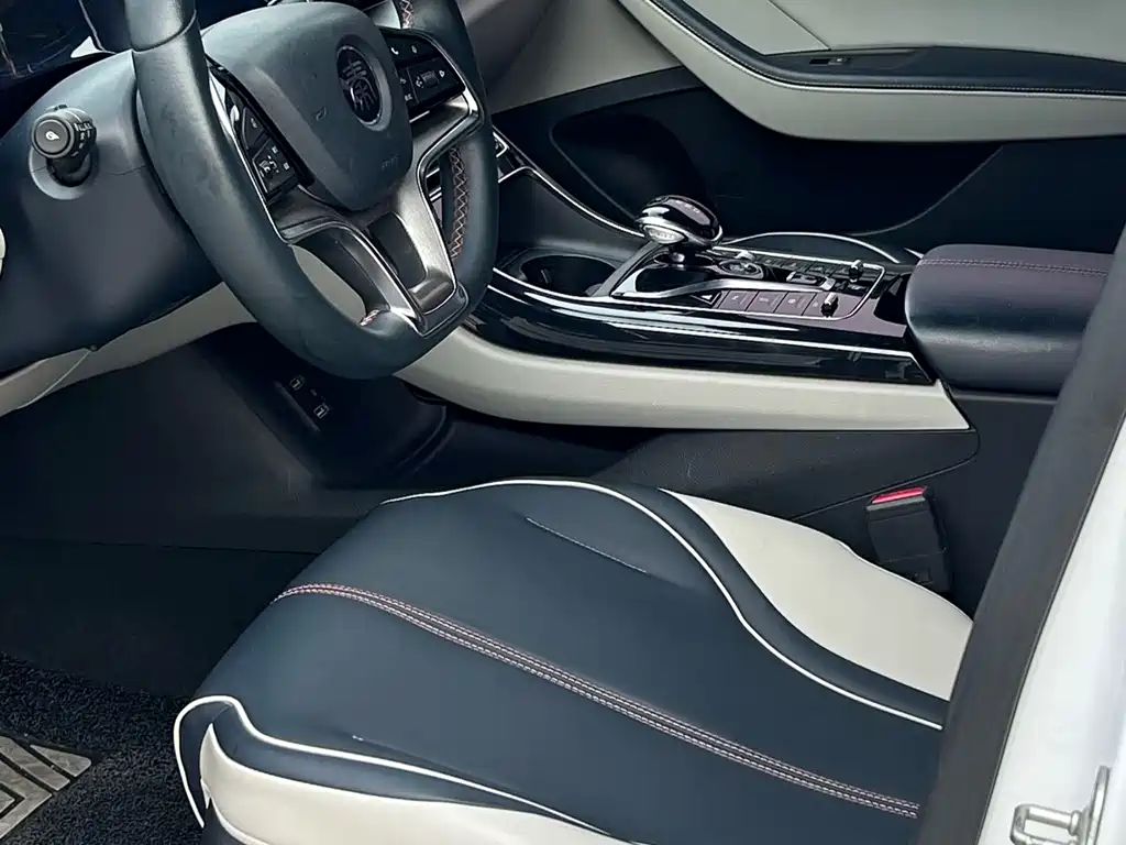 BYD Qin PLUS — фото 4