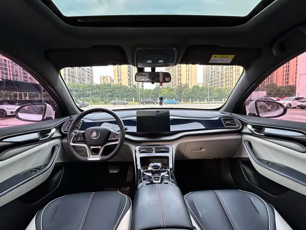 BYD Qin PLUS — фото 6