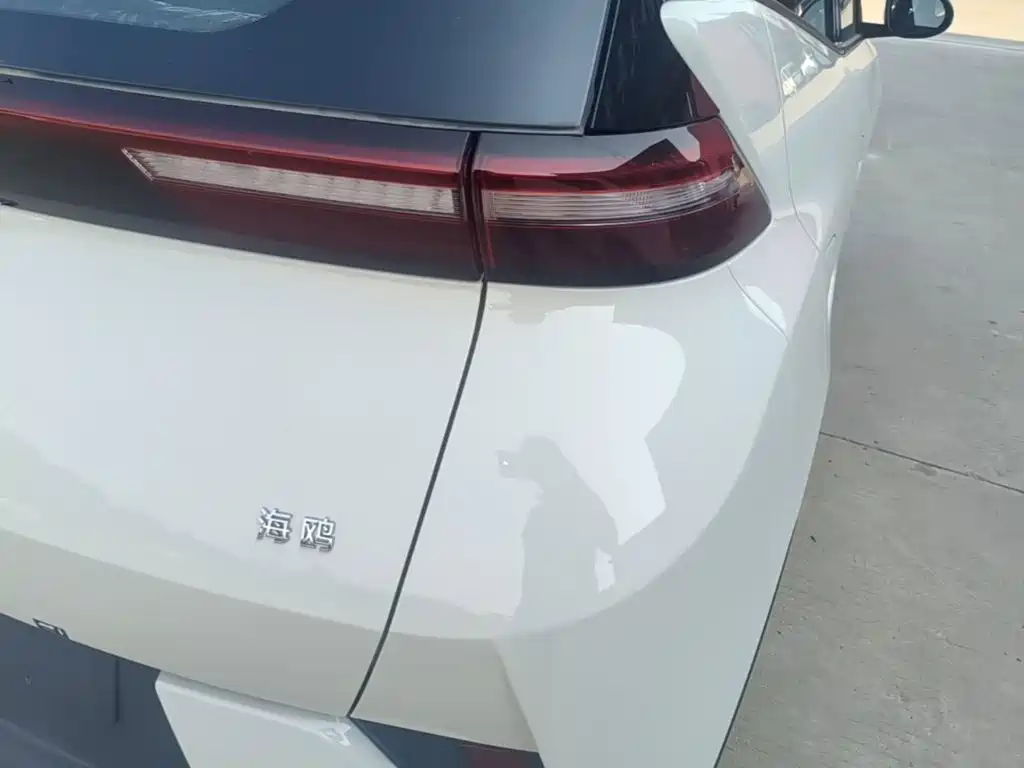 BYD Seagull — фото 8