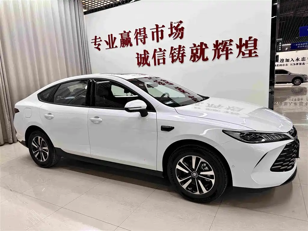 BYD Qin PLUS — фото 3