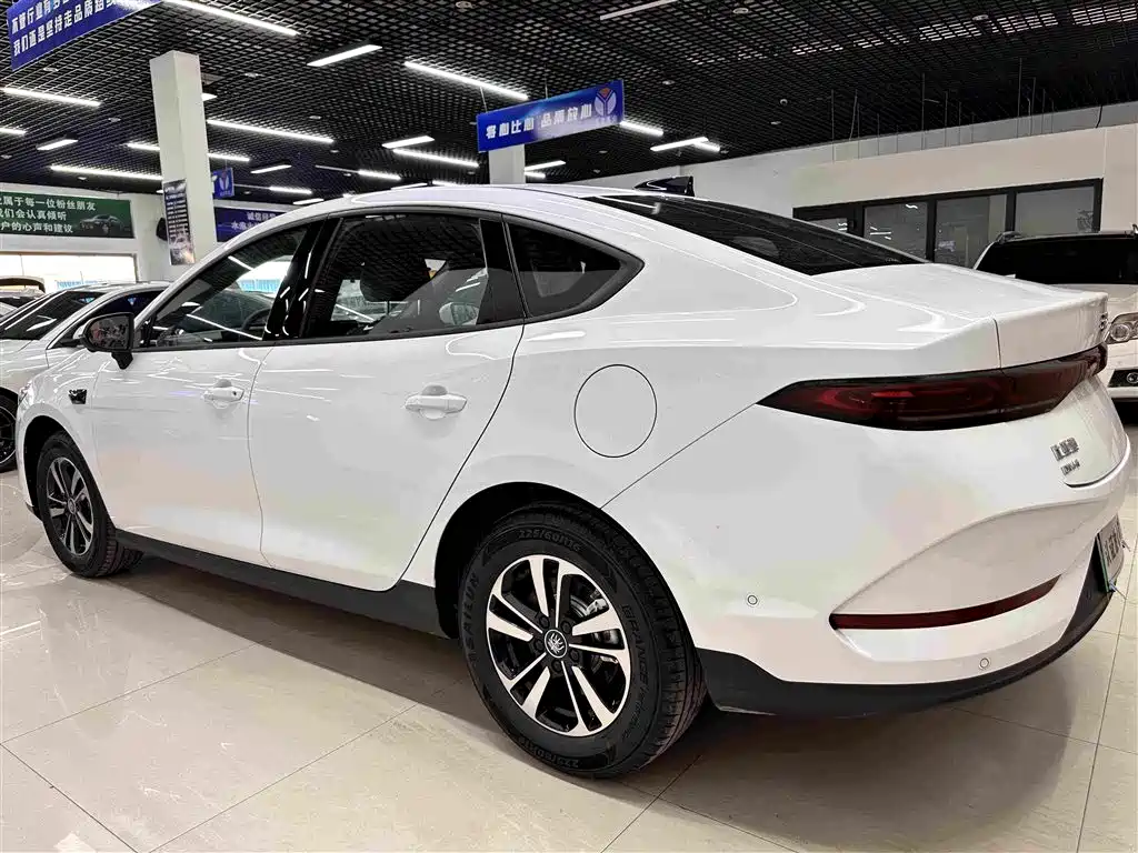 BYD Qin PLUS — фото 4