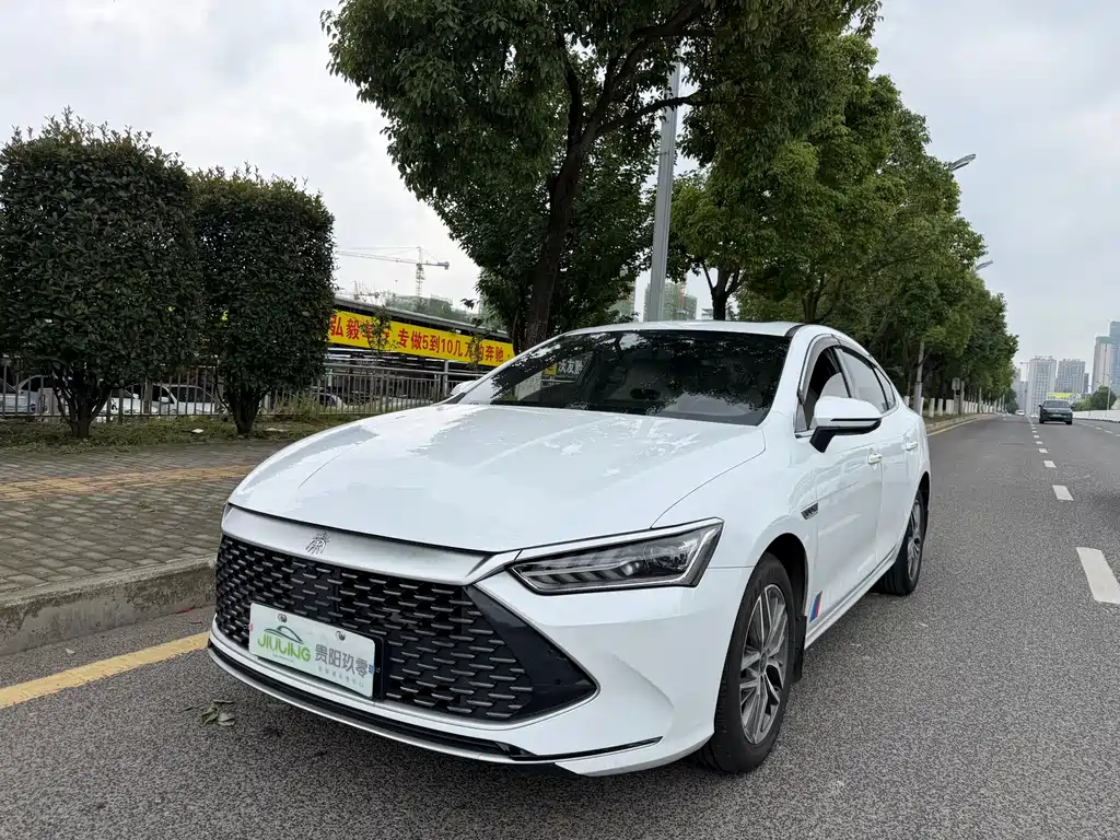 BYD Qin PLUS — фото 2