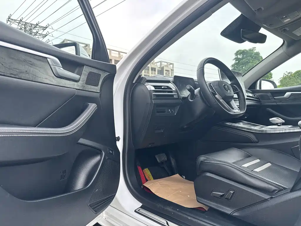 BYD Qin Pro NEV — фото 8