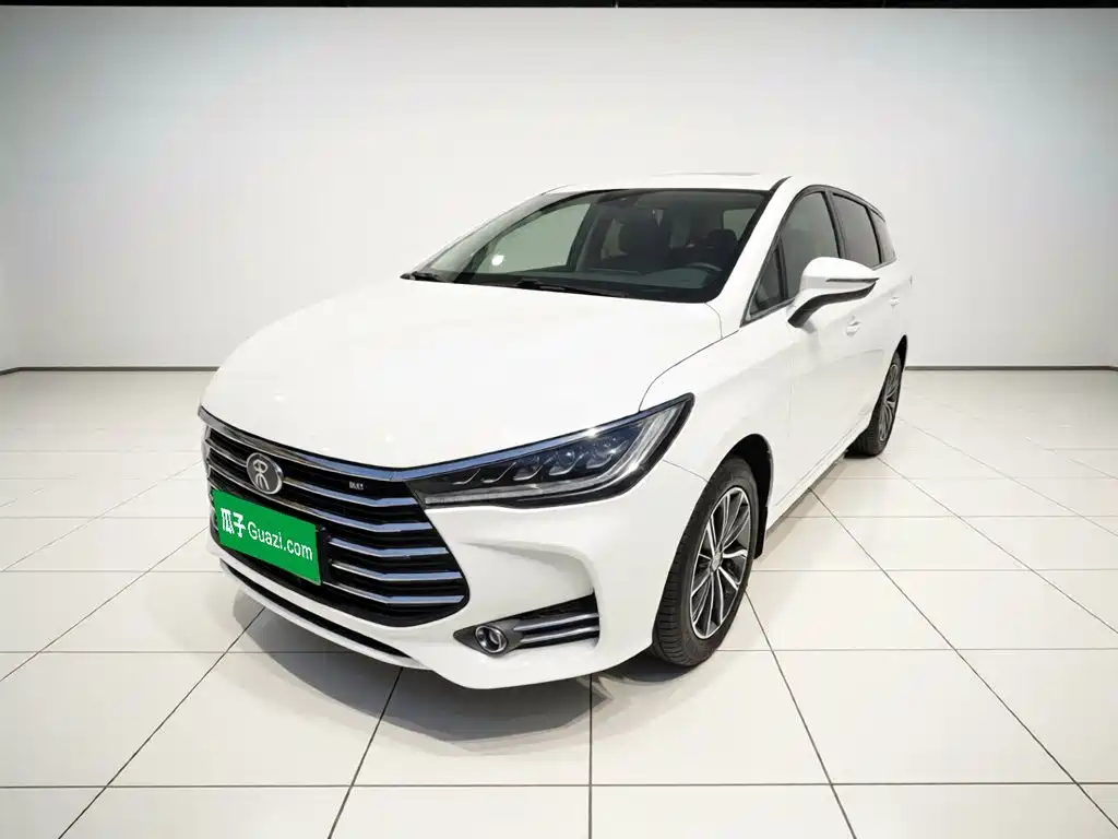 BYD MAX — фото 2
