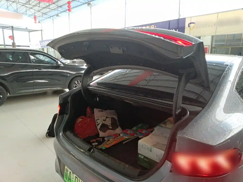 BYD Qin PLUS — фото 15