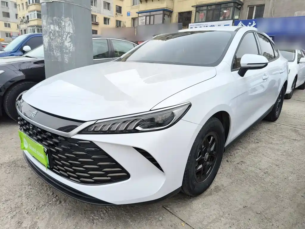 BYD Qin PLUS — фото 2