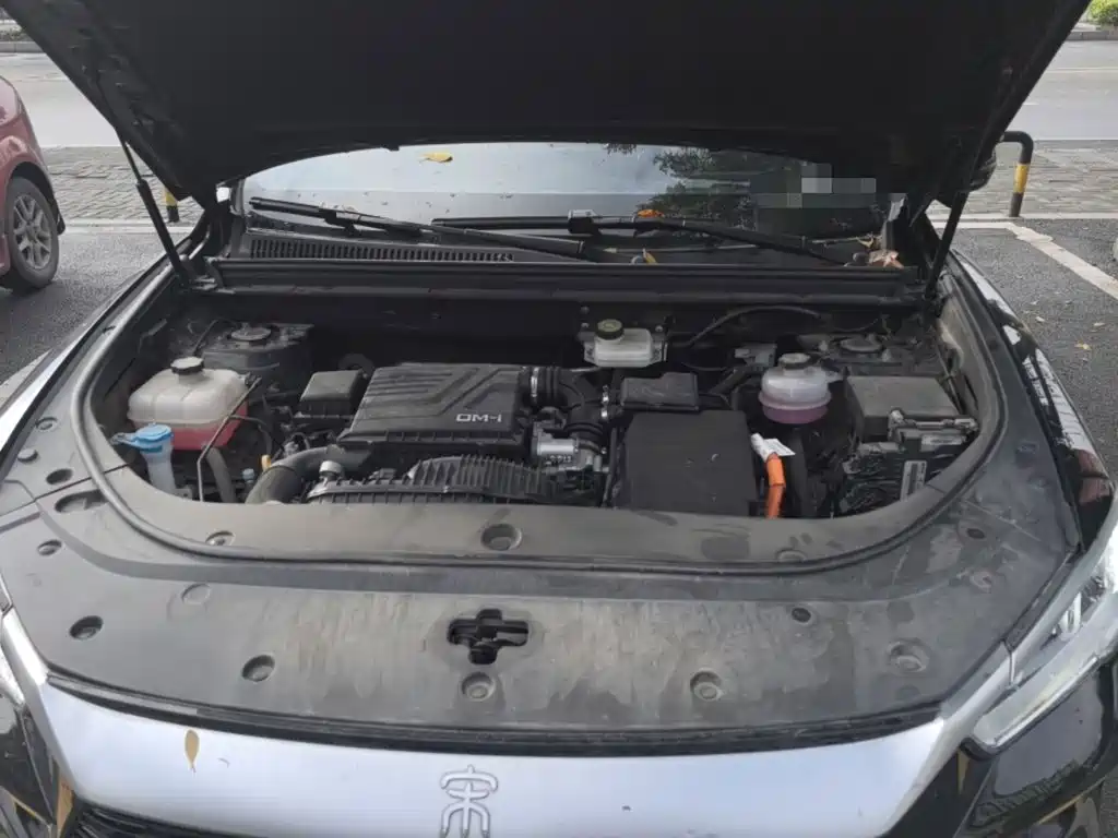 BYD Pro New Energy — фото 11