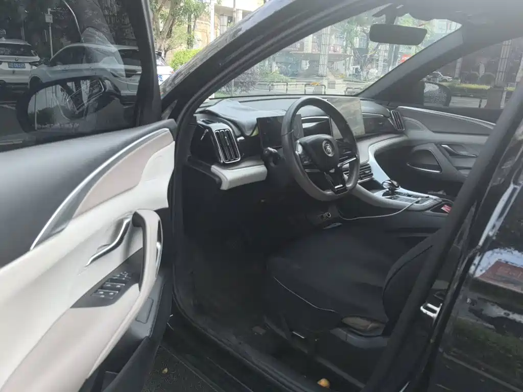 BYD Pro New Energy — фото 14