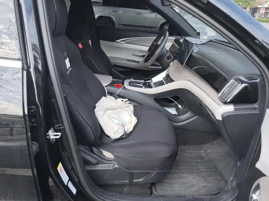 BYD Pro New Energy — фото 20