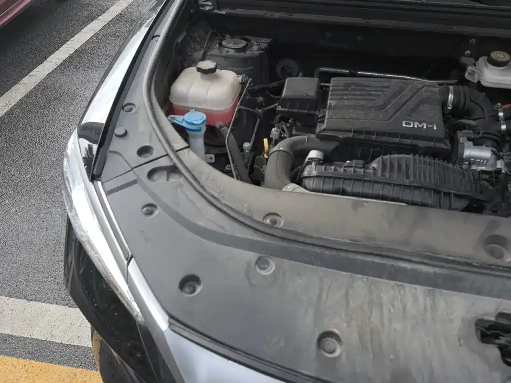 BYD Pro New Energy — фото 21