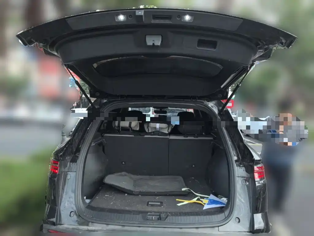 BYD Pro New Energy — фото 10