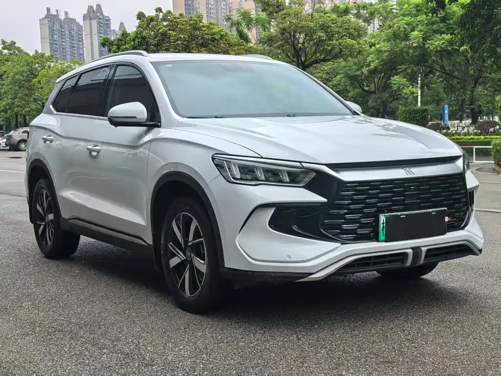 BYD Pro New Energy — фото 3