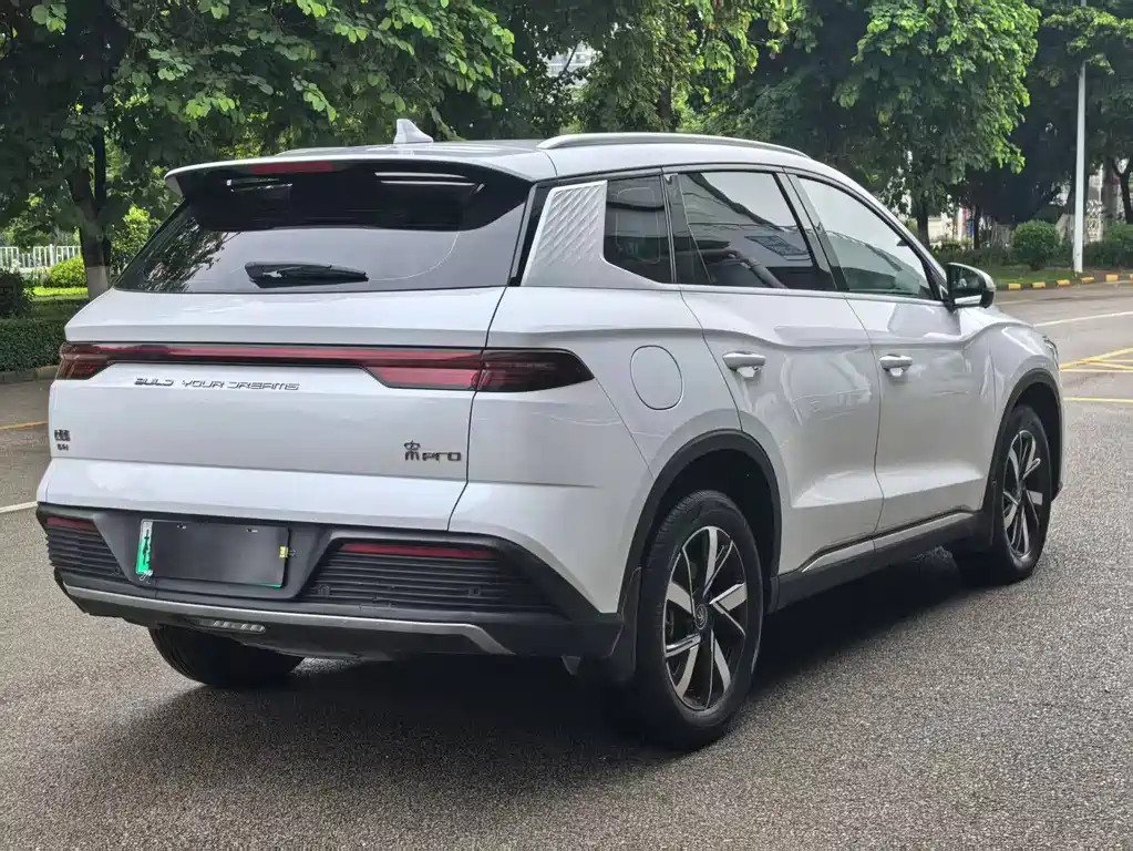 BYD Pro New Energy — фото 4