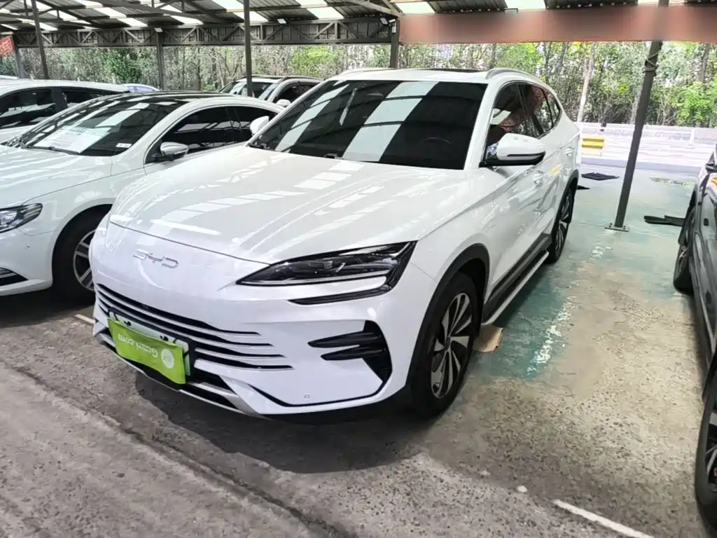 BYD PLUS New Energy — фото 2