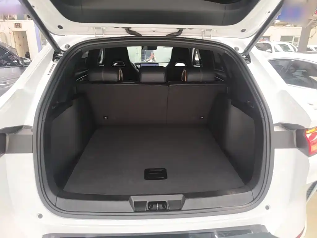 BYD PLUS New Energy — фото 15