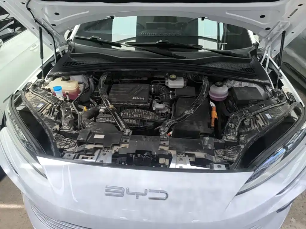 BYD PLUS New Energy — фото 16
