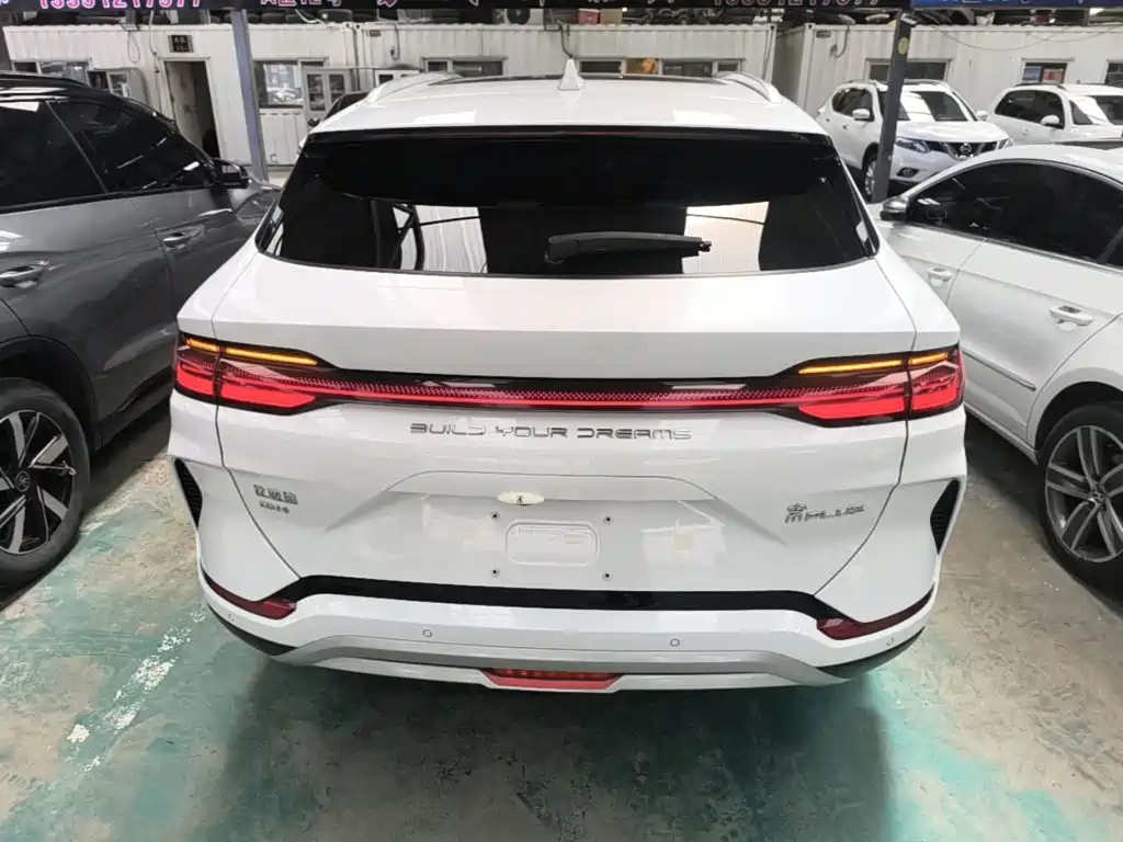 BYD PLUS New Energy — фото 4