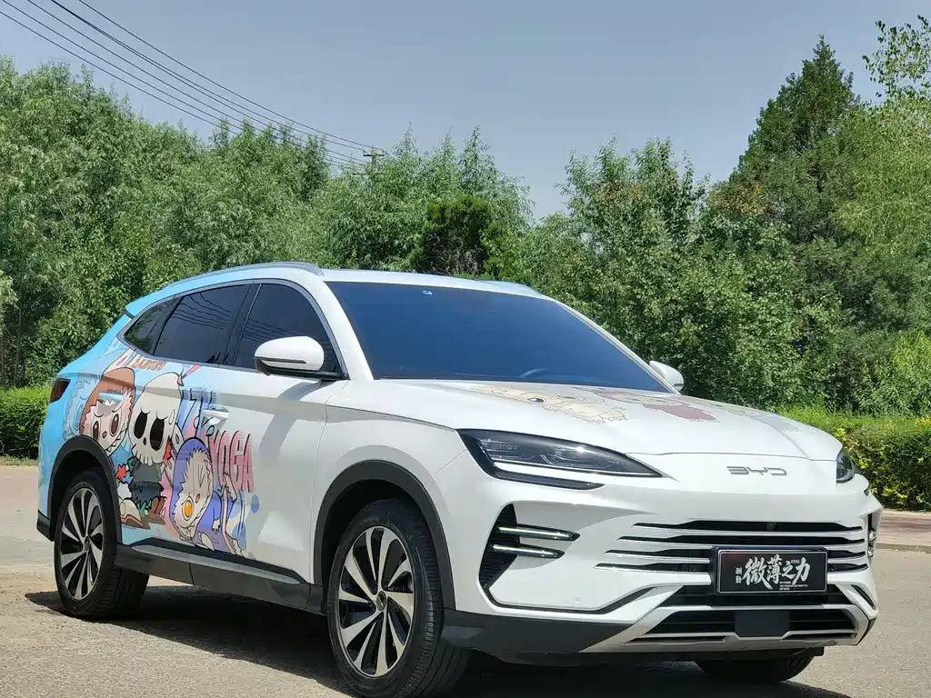 BYD PLUS New Energy — фото 3