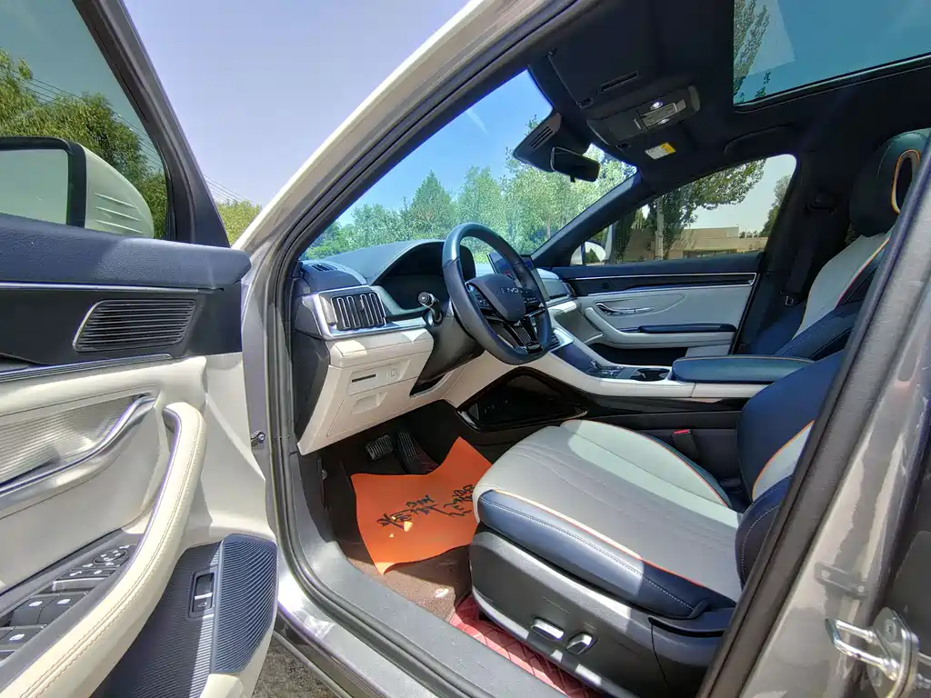 BYD PLUS New Energy — фото 4