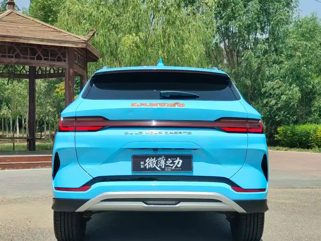 BYD PLUS New Energy — фото 8