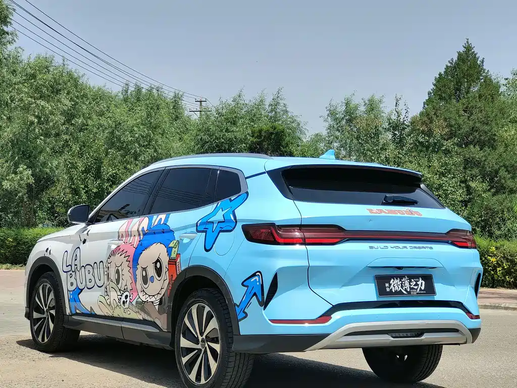 BYD PLUS New Energy — фото 9