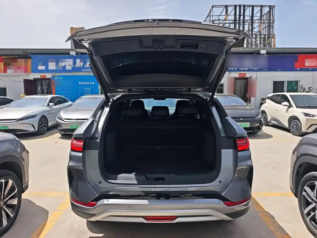 BYD PLUS New Energy — фото 15