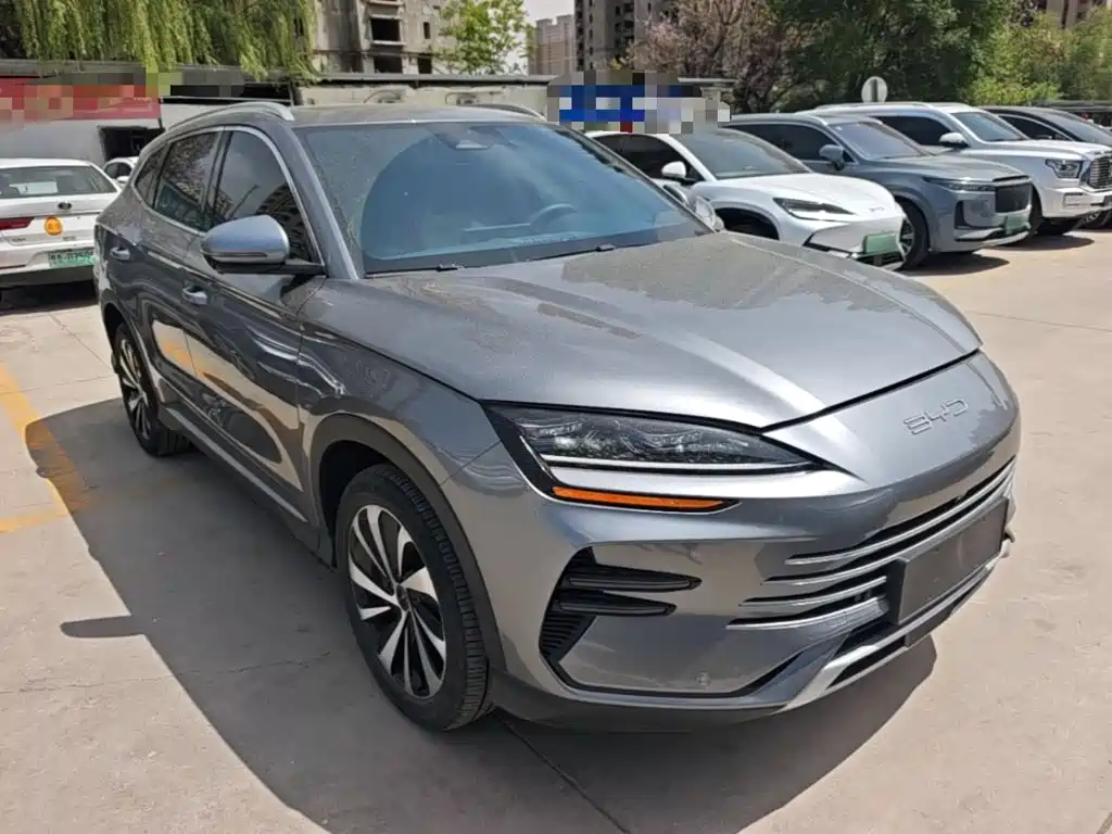 BYD PLUS New Energy — фото 22