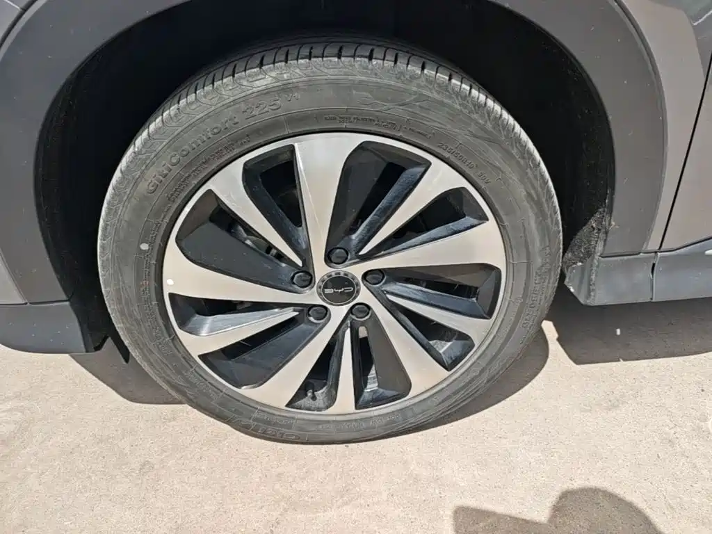 BYD PLUS New Energy — фото 25