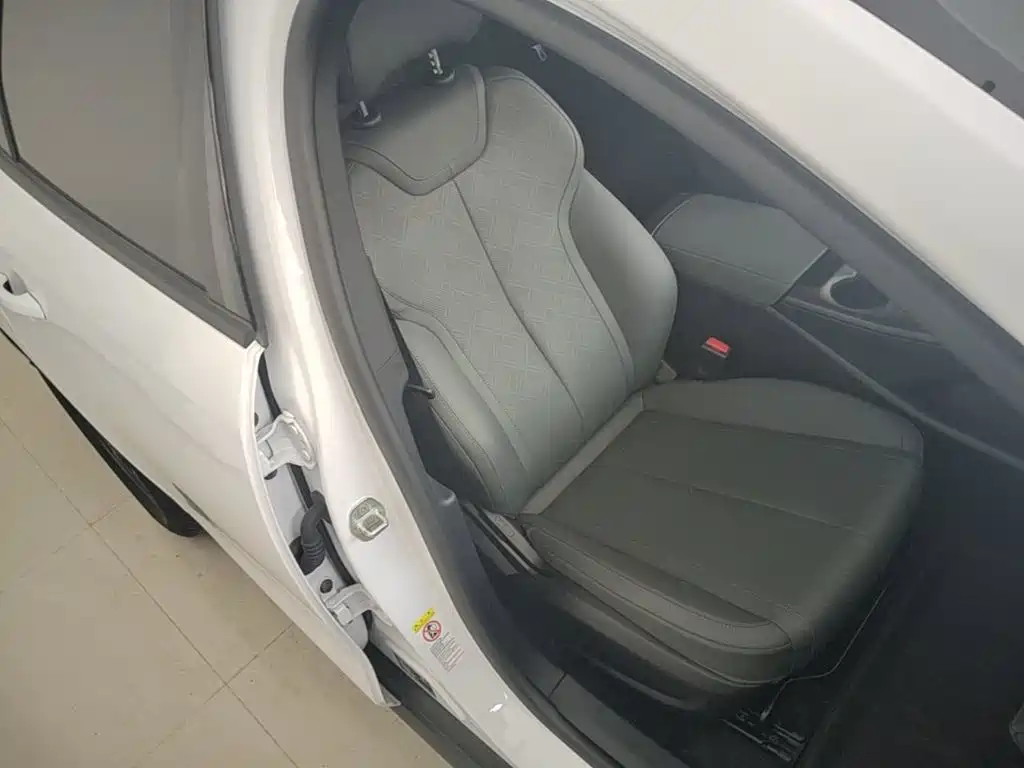 BYD Qin PLUS — фото 25