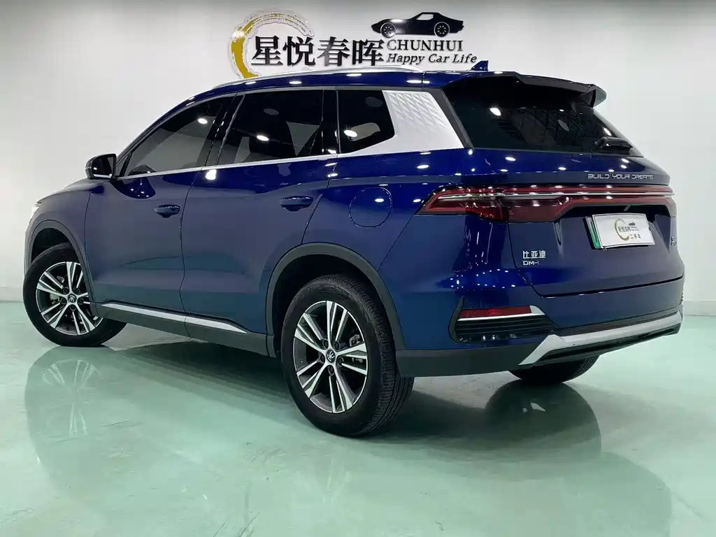 BYD Pro New Energy — фото 7