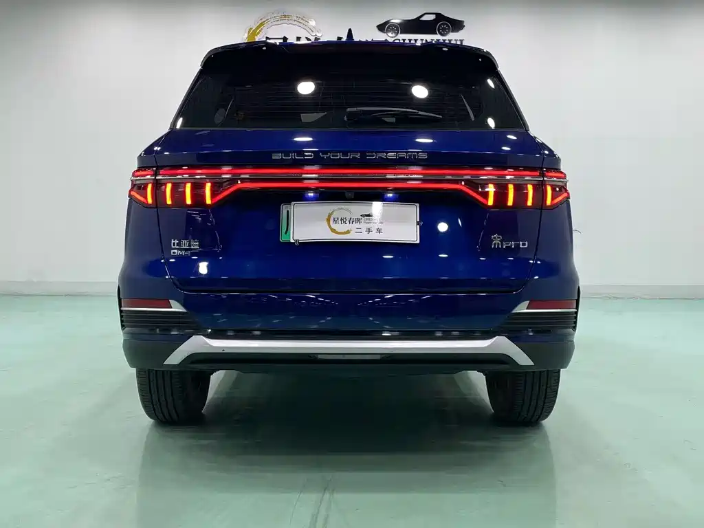 BYD Pro New Energy — фото 8