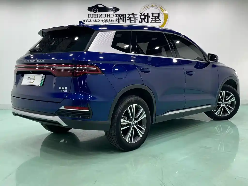BYD Pro New Energy — фото 9