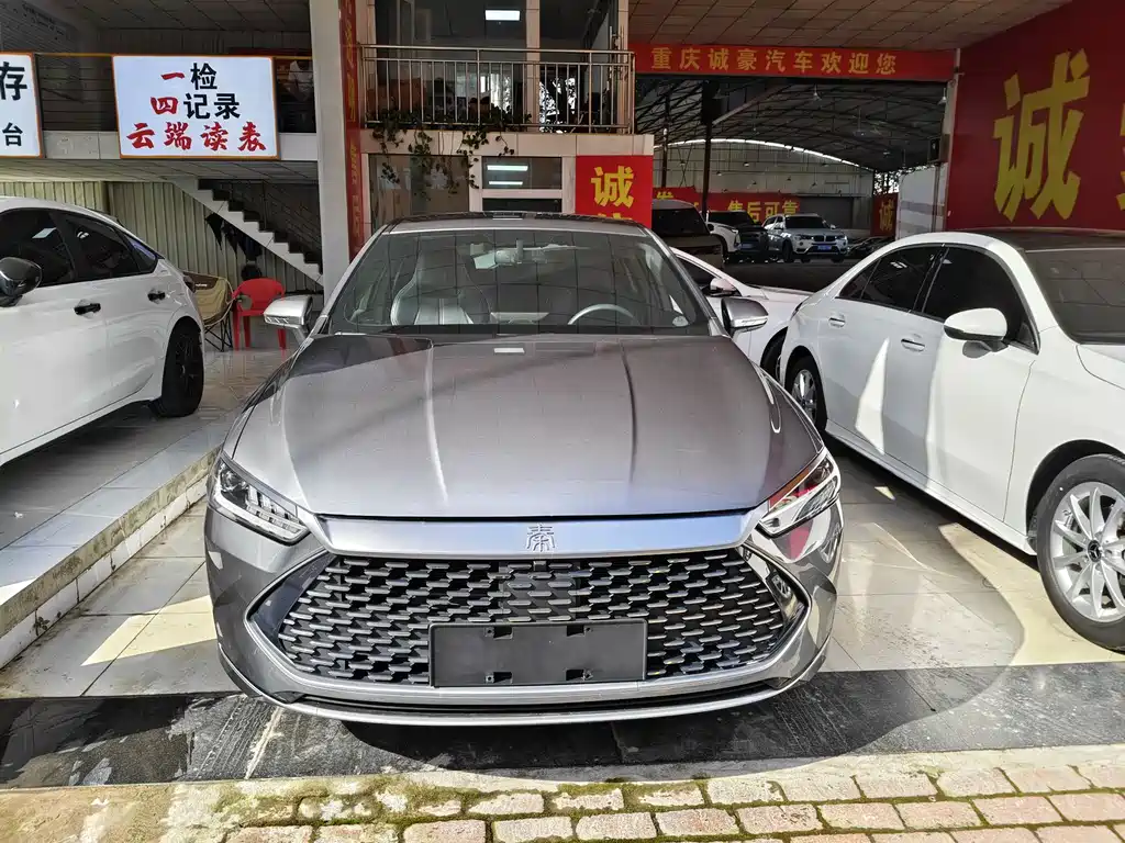 BYD Qin PLUS — фото 2