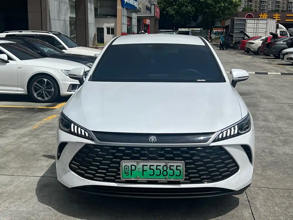 BYD Qin PLUS — фото 2
