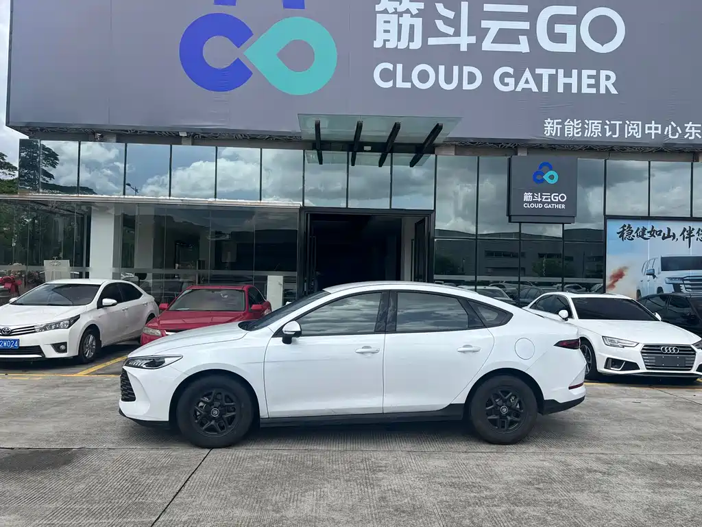 BYD Qin PLUS — фото 4