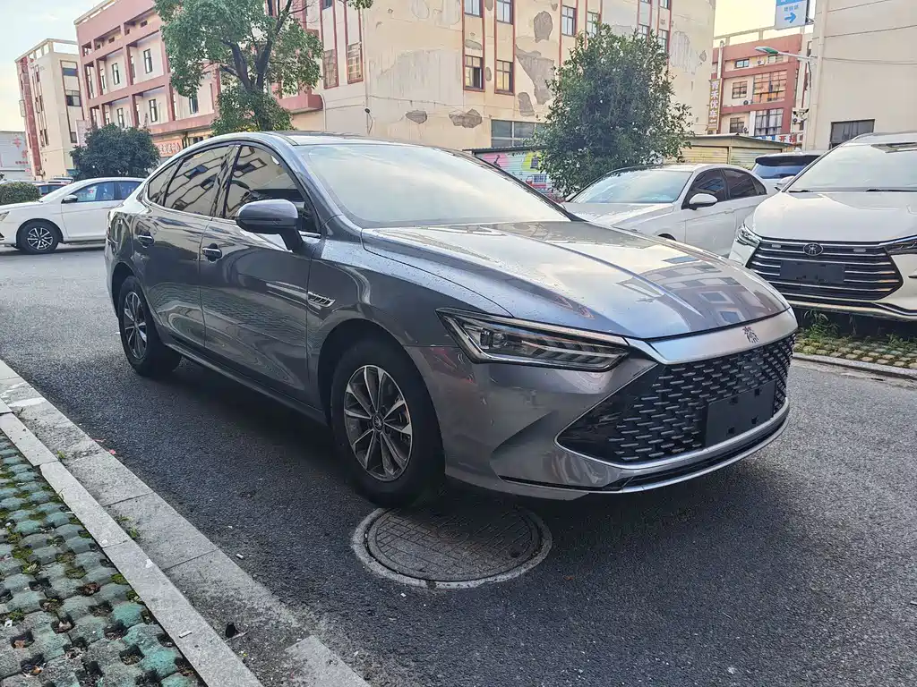 BYD Qin PLUS — фото 3