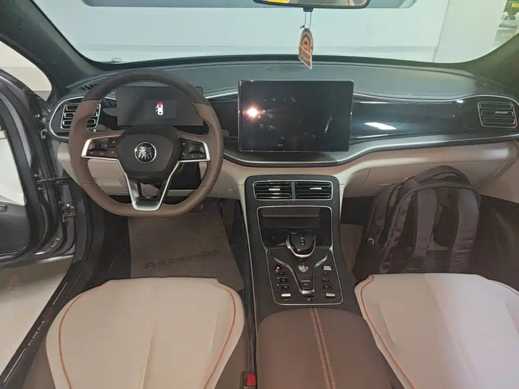 BYD Qin PLUS — фото 10