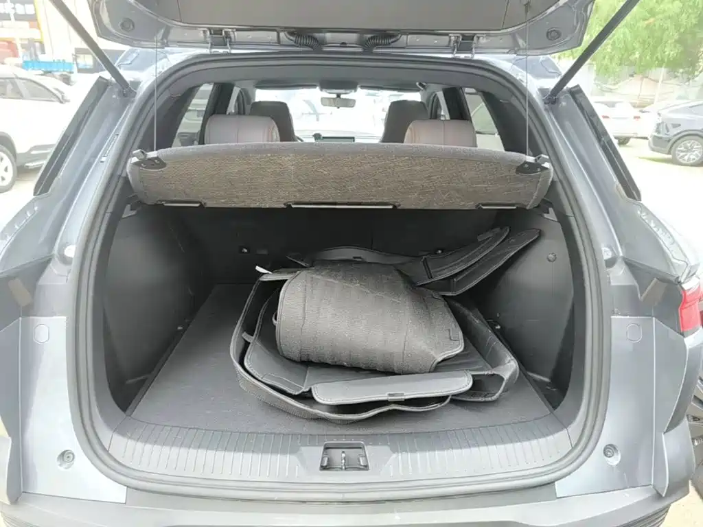 BYD Pro New Energy — фото 19